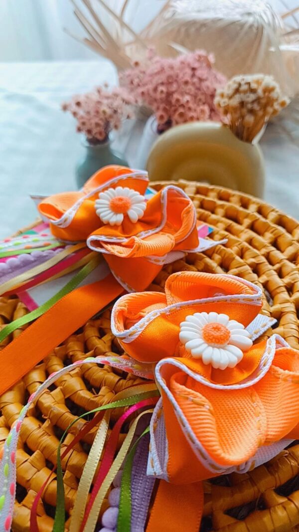 Parzinho Laranja Margaridas Bem me quer - Imagem 2