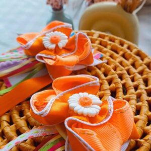 Parzinho Laranja Margaridas Bem me quer