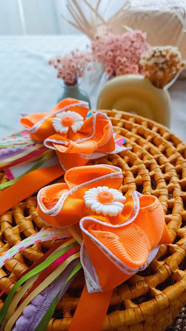 Parzinho Laranja Margaridas Bem me quer